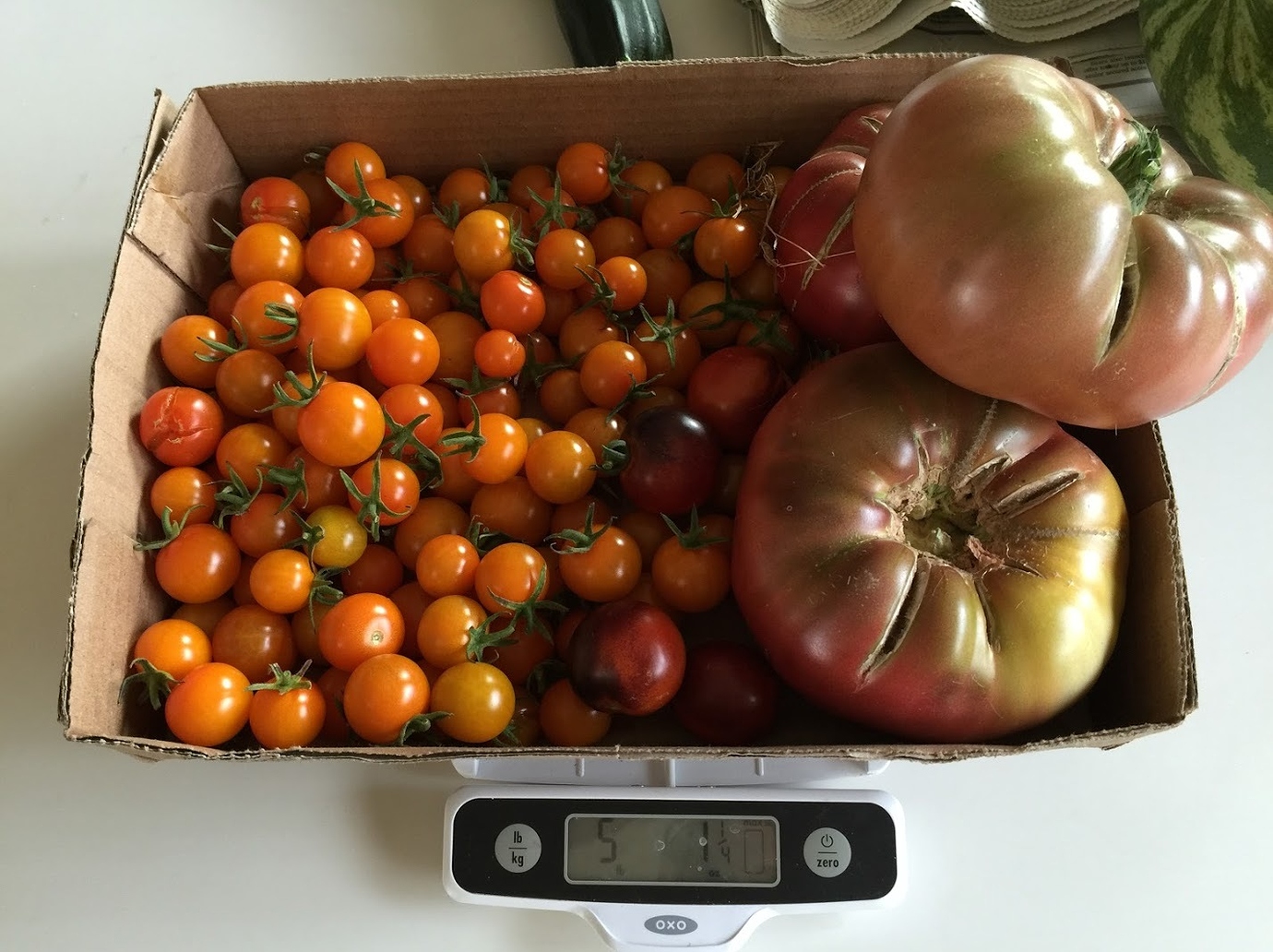 Tomatoes of 2015 Types, Tastes, and Pictures General Gardening