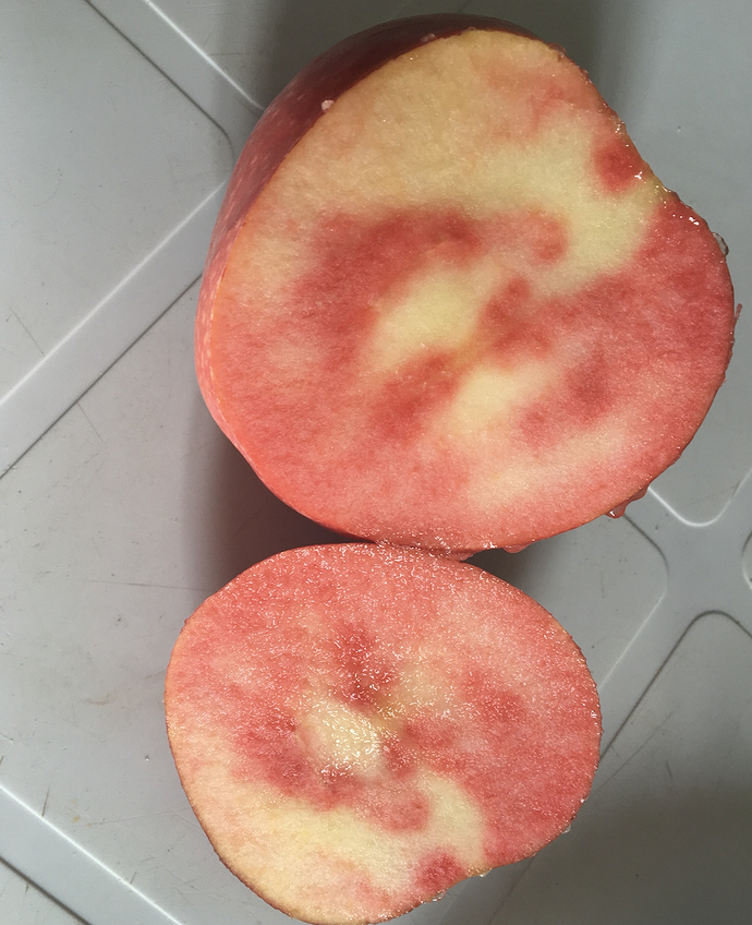 Lucy Glo Apple General Fruit Growing Growing Fruit