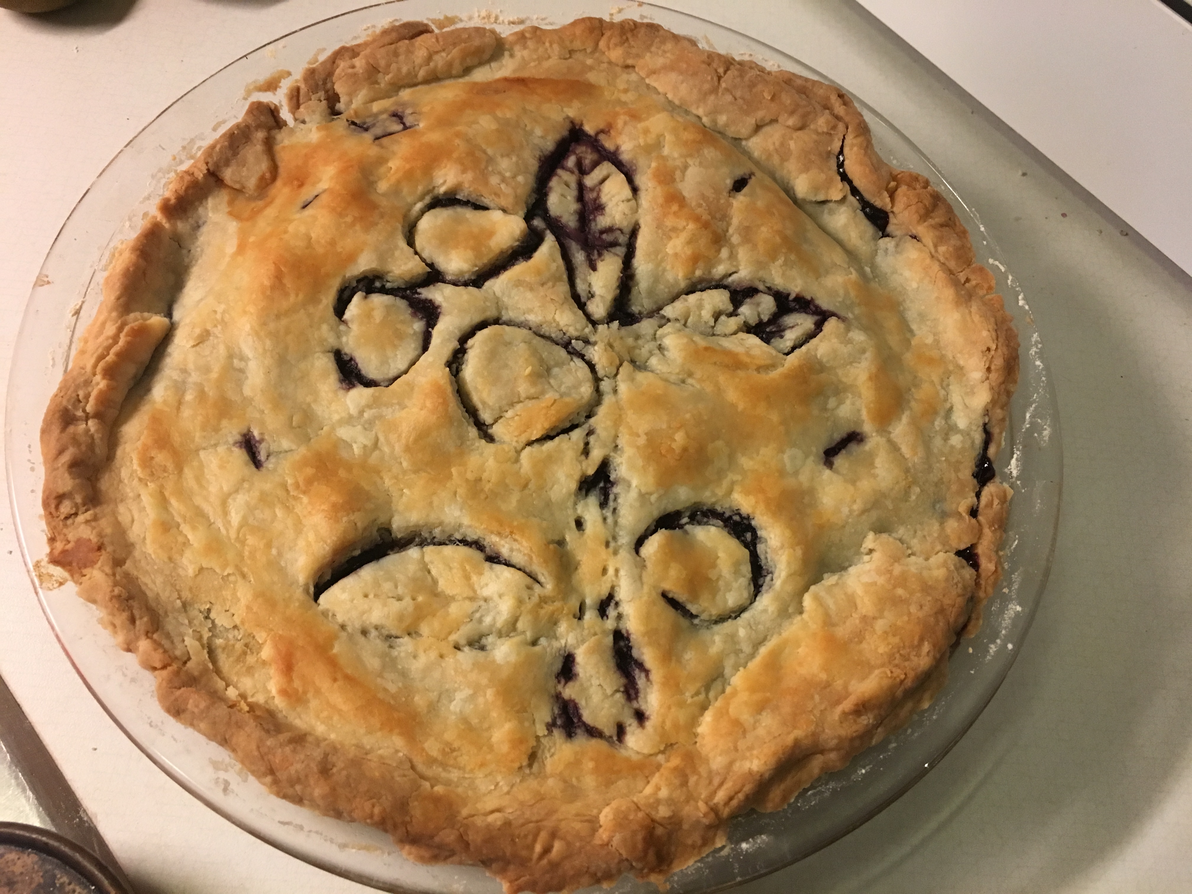 Wild Maine blueberry pie Fruit in the Kitchen Growing Fruit