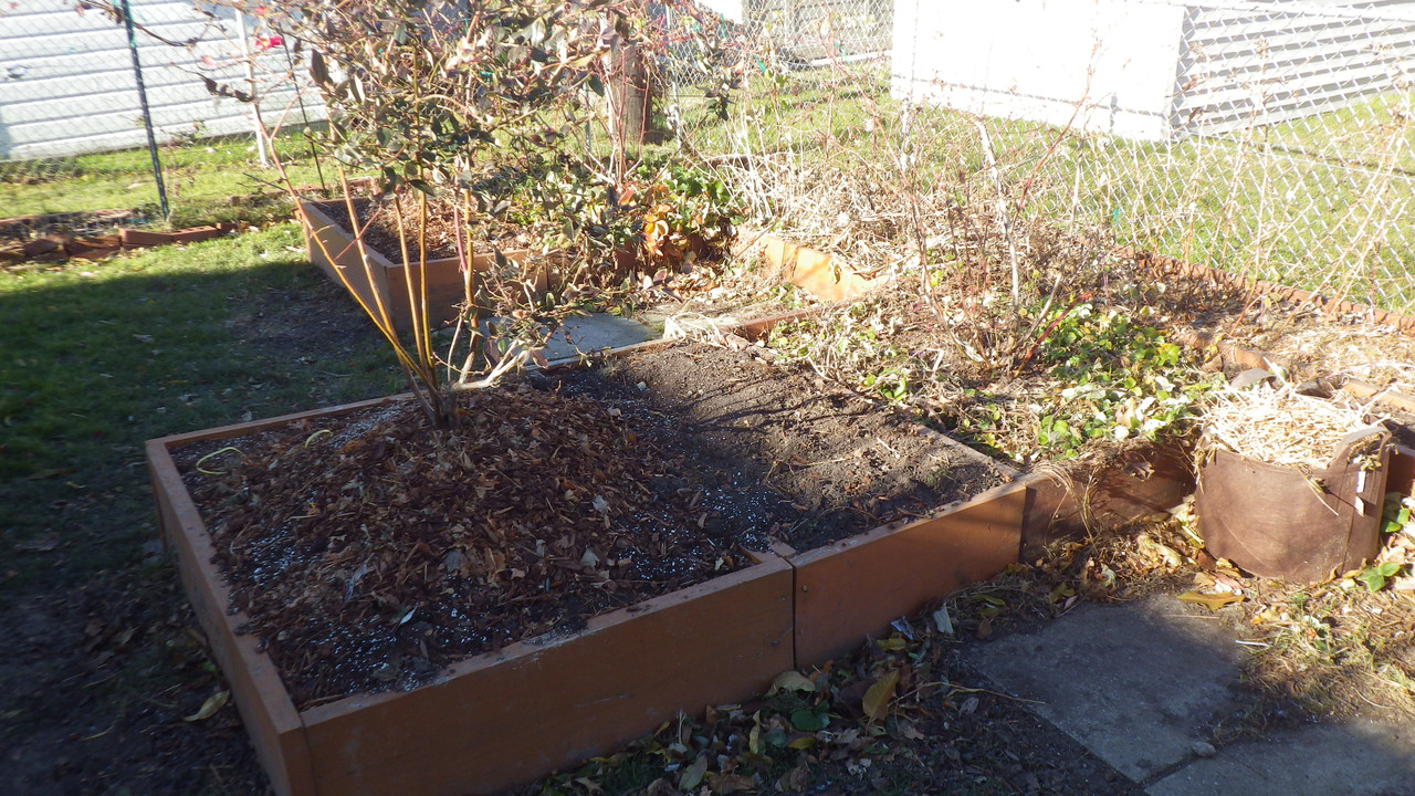 Which Blueberries to grow in zone 7a7b General Fruit Growing