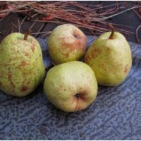 7E60292B-18E1-4E15-8F9B-EDE8AE708B49