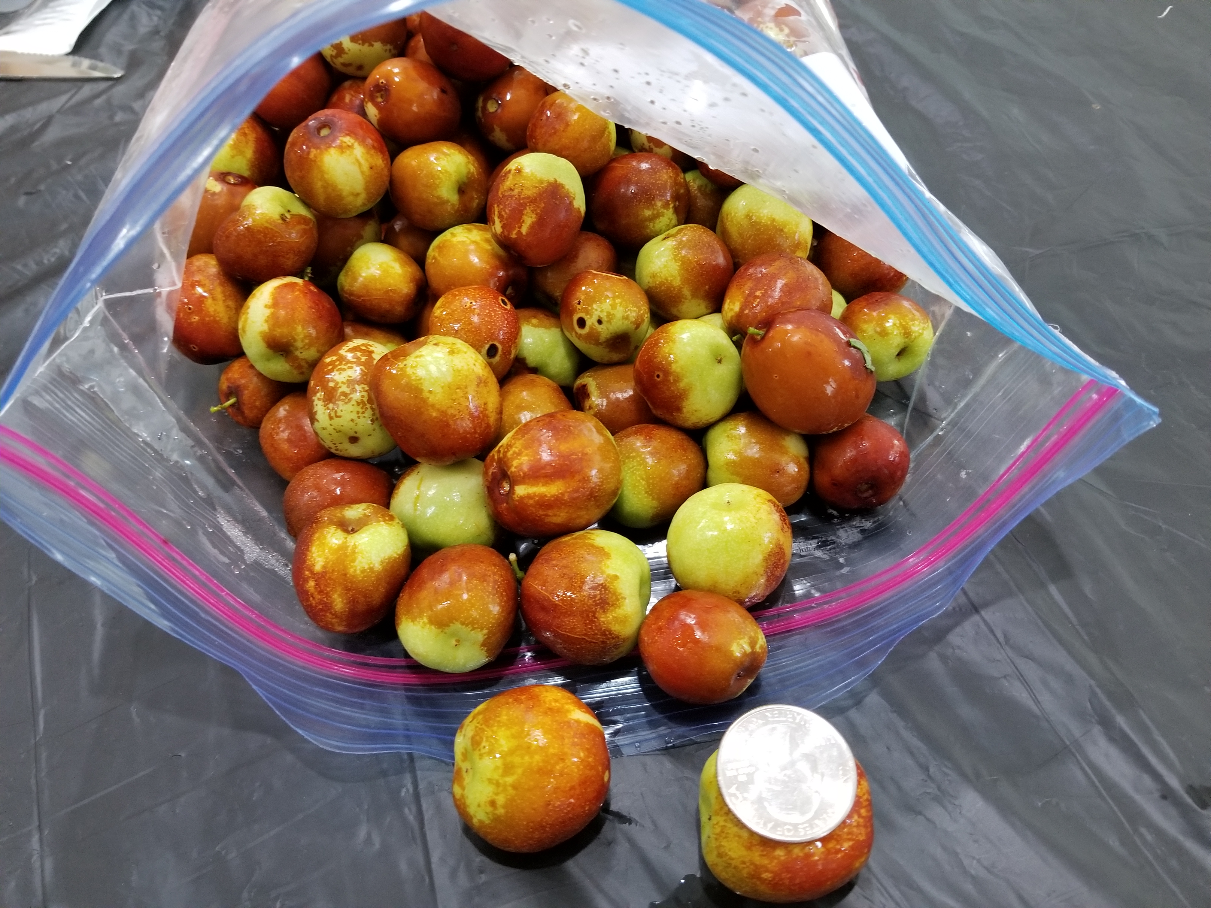 Honey Jar and Sugar Cane Jujubes just became available! General Fruit