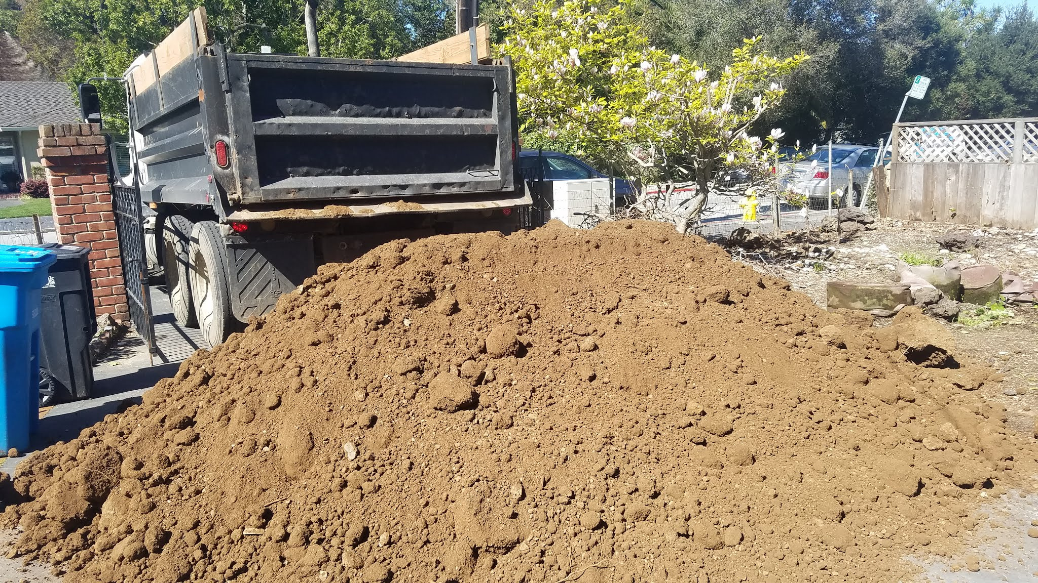 Best bulk soil for fruit in raised beds Sandy Loam, bark, compost