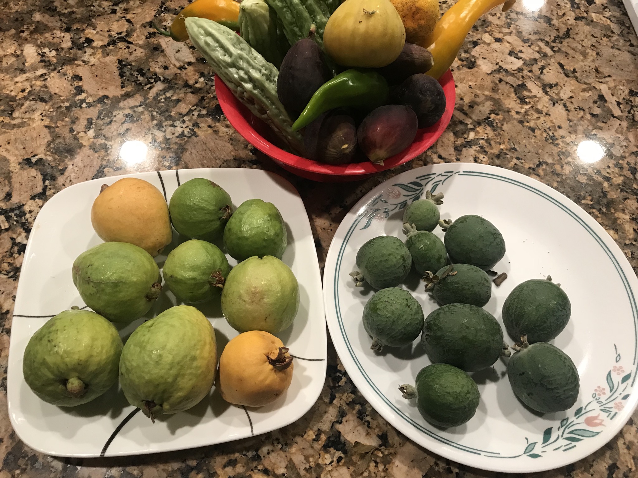 Tropical Pink Guava vs Pineapple Guavas General Fruit Growing