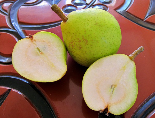 EDBCA249-3AC5-42B8-9D77-E13F3EBFE529